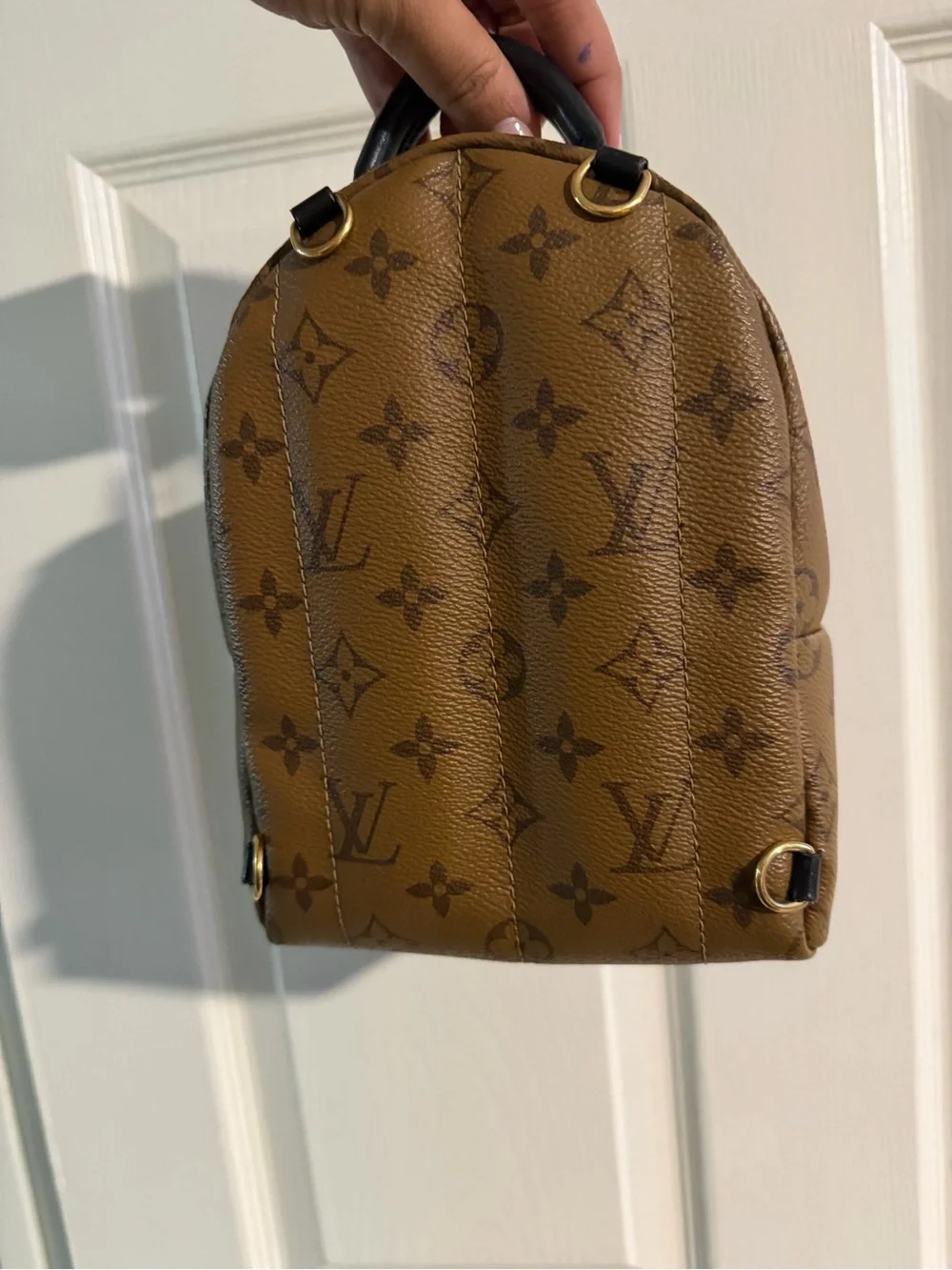 Louis Vuitton Palm Springs mini in reverse monogram